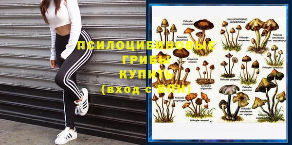 спиды Вязьма