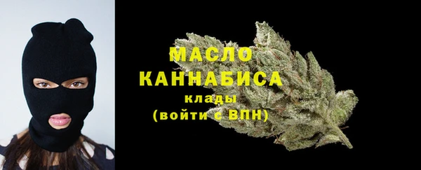 apvp Вяземский