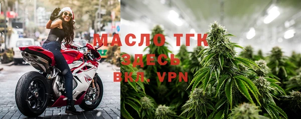 apvp Вяземский