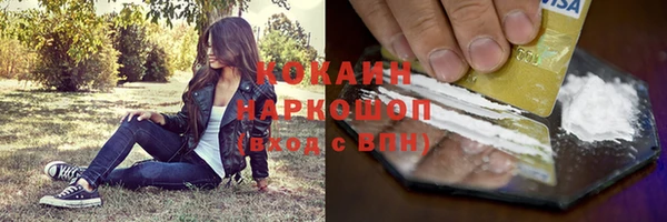 apvp Вяземский