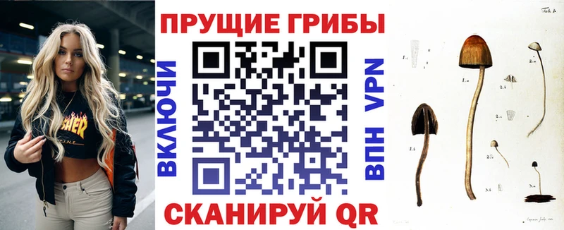 Псилоцибиновые грибы Magic Shrooms Юрга